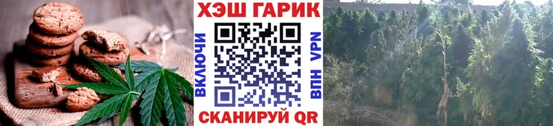Canna-Cookies конопля  Барнаул 